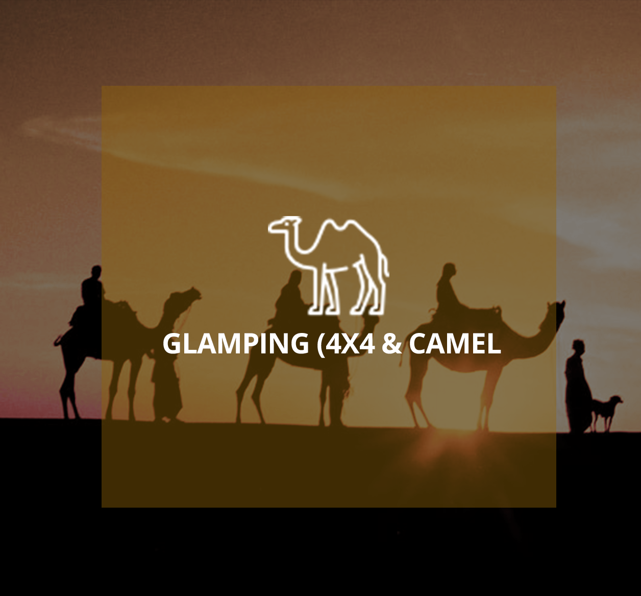Glamping ( 4x4 & Camel )
